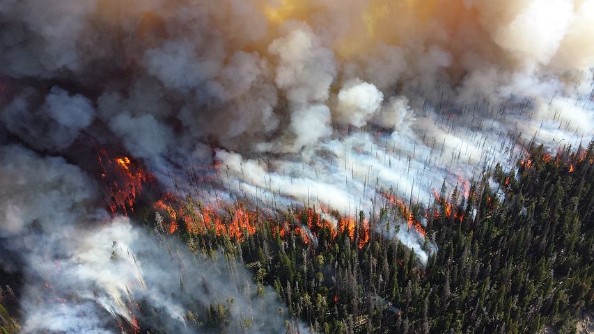 California wildfire rages out of control.