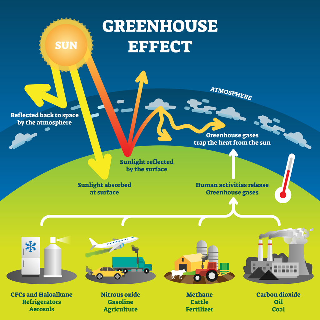 The Greenhouse Effect